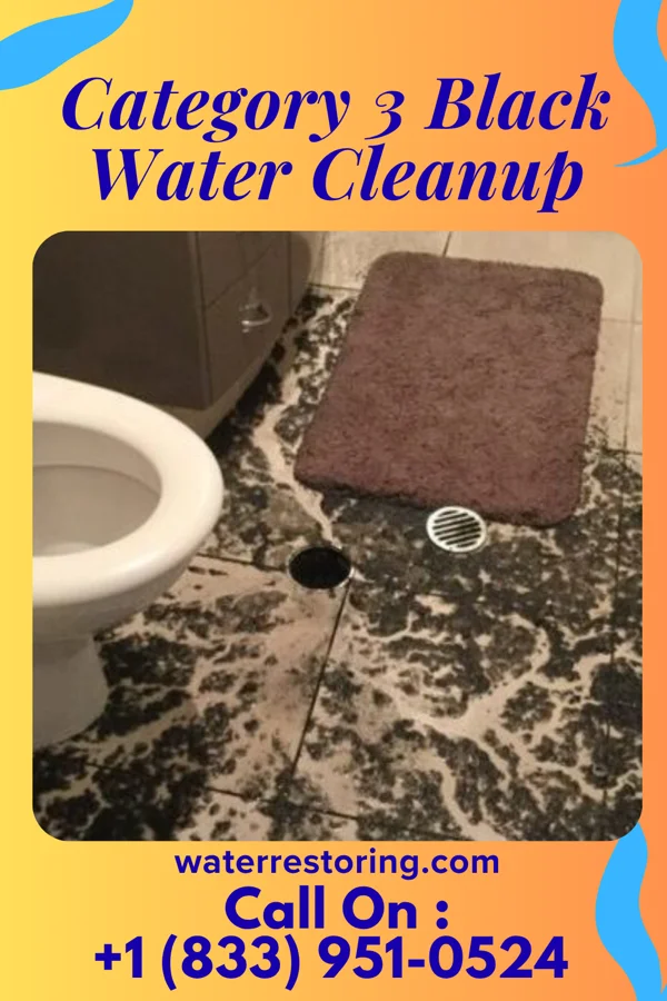 Category 3 Black Water Cleanup in Leitersburg, MD