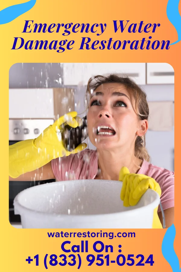 Emergency Water Damage Restoration in Leitersburg, MD