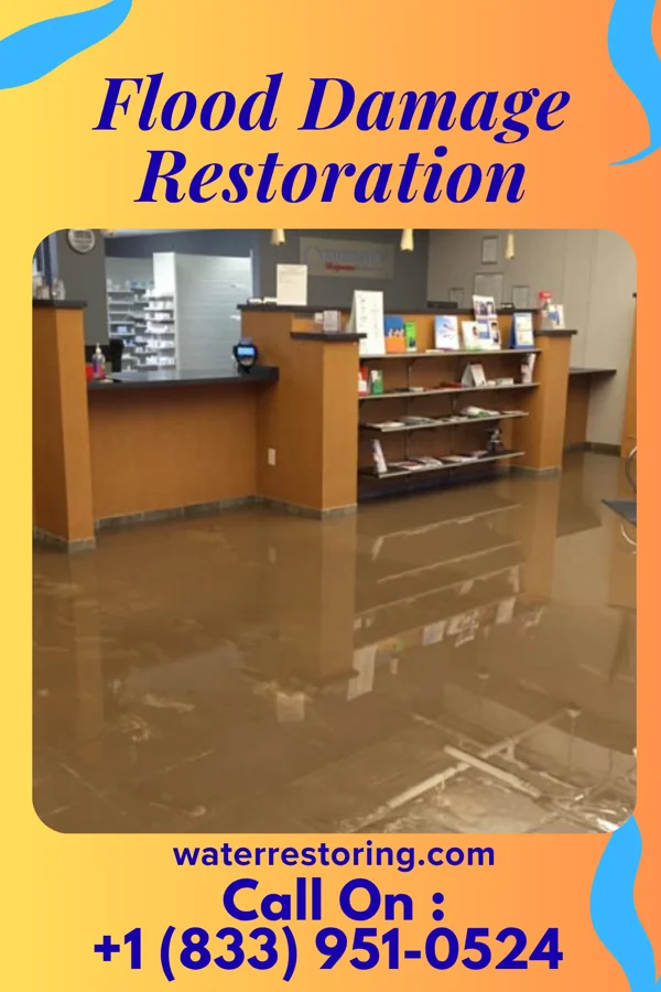 Flood Damage Restoration in Leitersburg, MD
