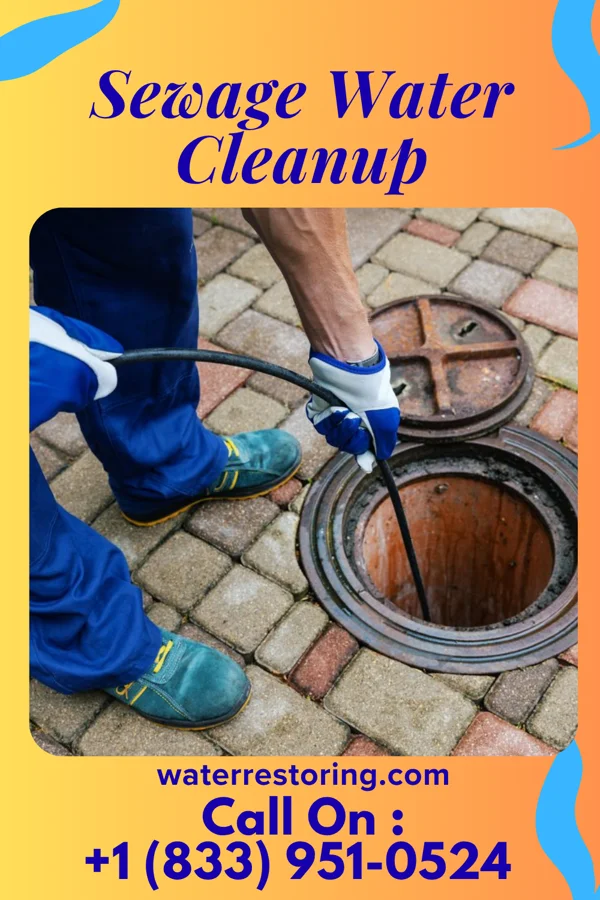 Sewage Water Cleanup in Leitersburg, MD