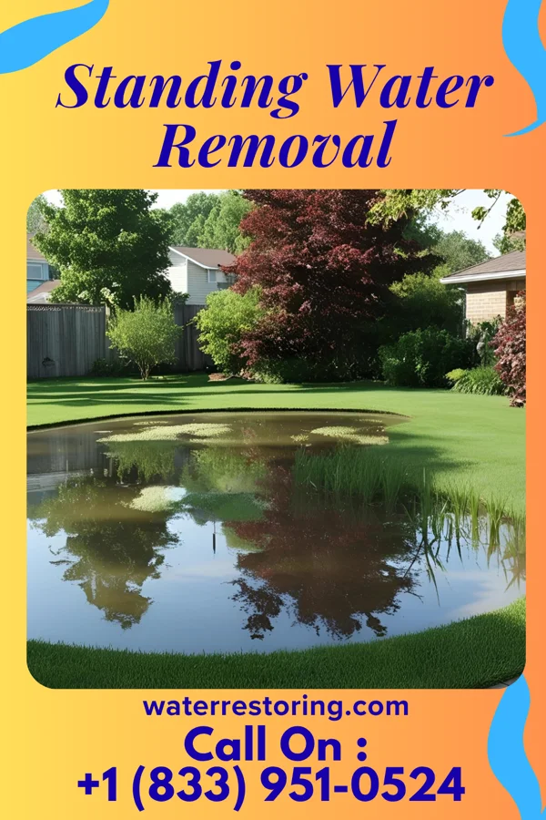 Standing Water Removal in Leitersburg, MD